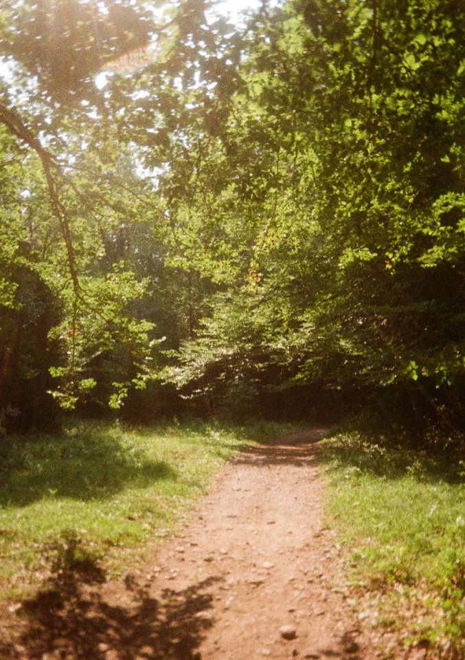 Film photo 5