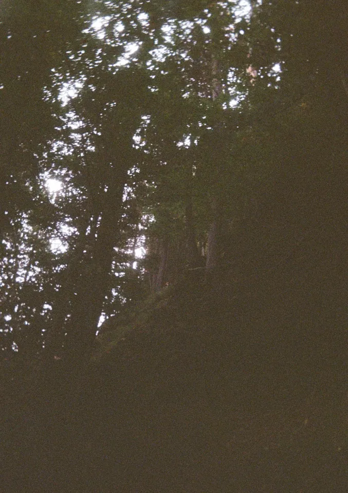 Film photo 7