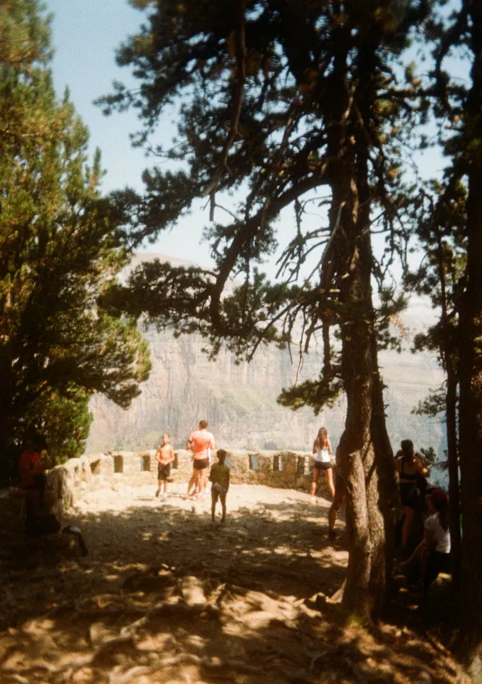 Film photo 8