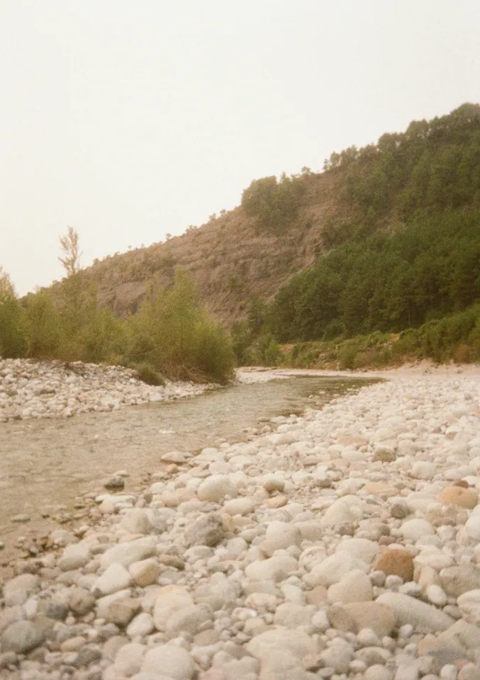 Film photo 9