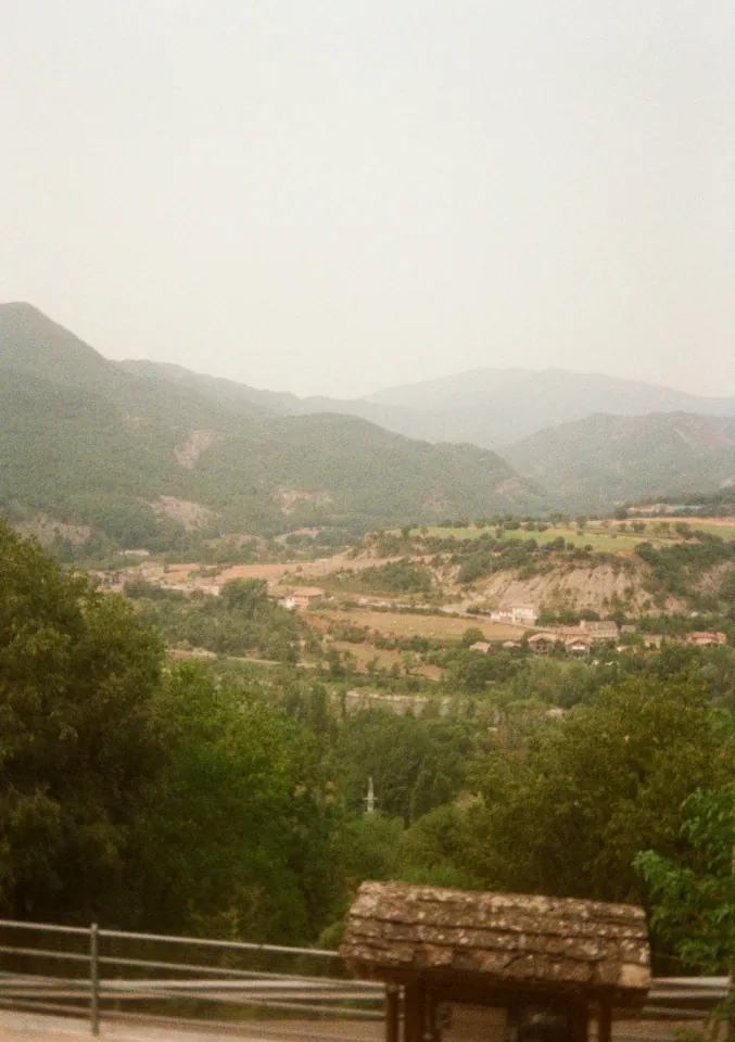 Film photo 11