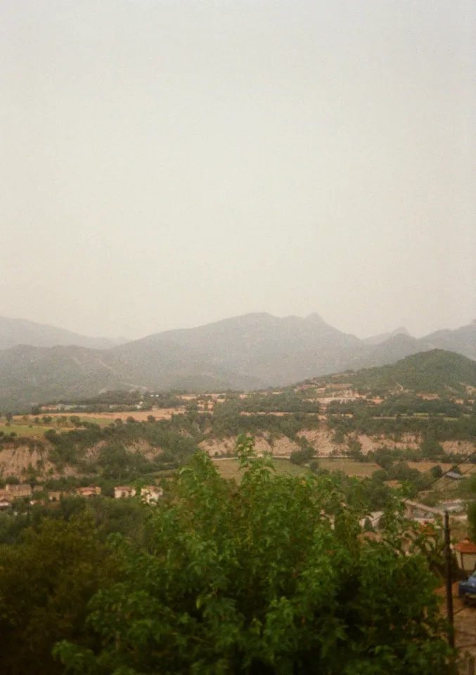 Film photo 12
