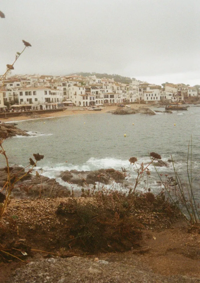 Film photo 13