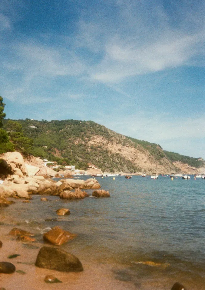 Film photo 15