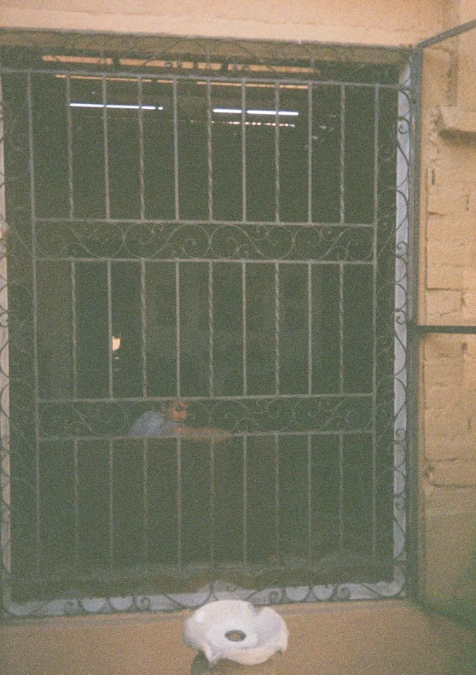 Film photo 19