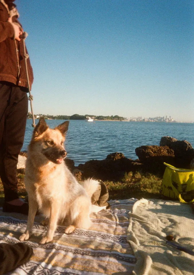 Film photo 40