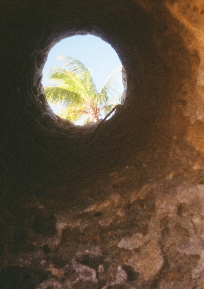 Film photo 42