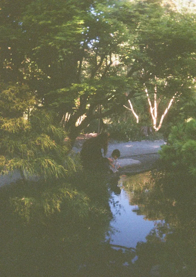 Film photo 55